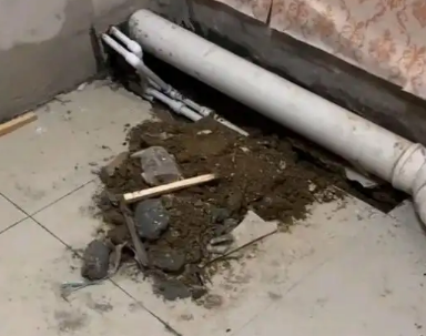 嘉黎卫生间漏水检测哪家好